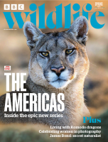 BBC Wildlife - Spring 2025.pdf